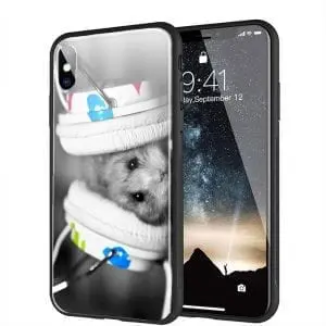 coque iphone xr pas cher Hamster