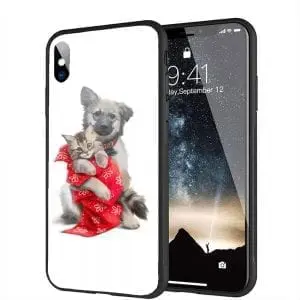 coque iphone xr pas cher