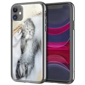 bébé chat mignon, Coque iPhone en Verre Trempé, collection Chaton