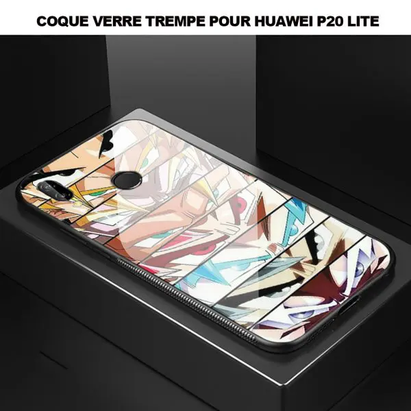 Coque Huawei P20 LITE Regards Sangoku en Verre Trempé Renforcé