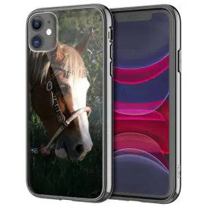 Coque iPhone Cheval Paint