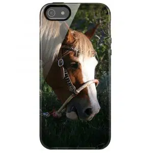 Coque iPhone 5 Cheval Paint en Silicone